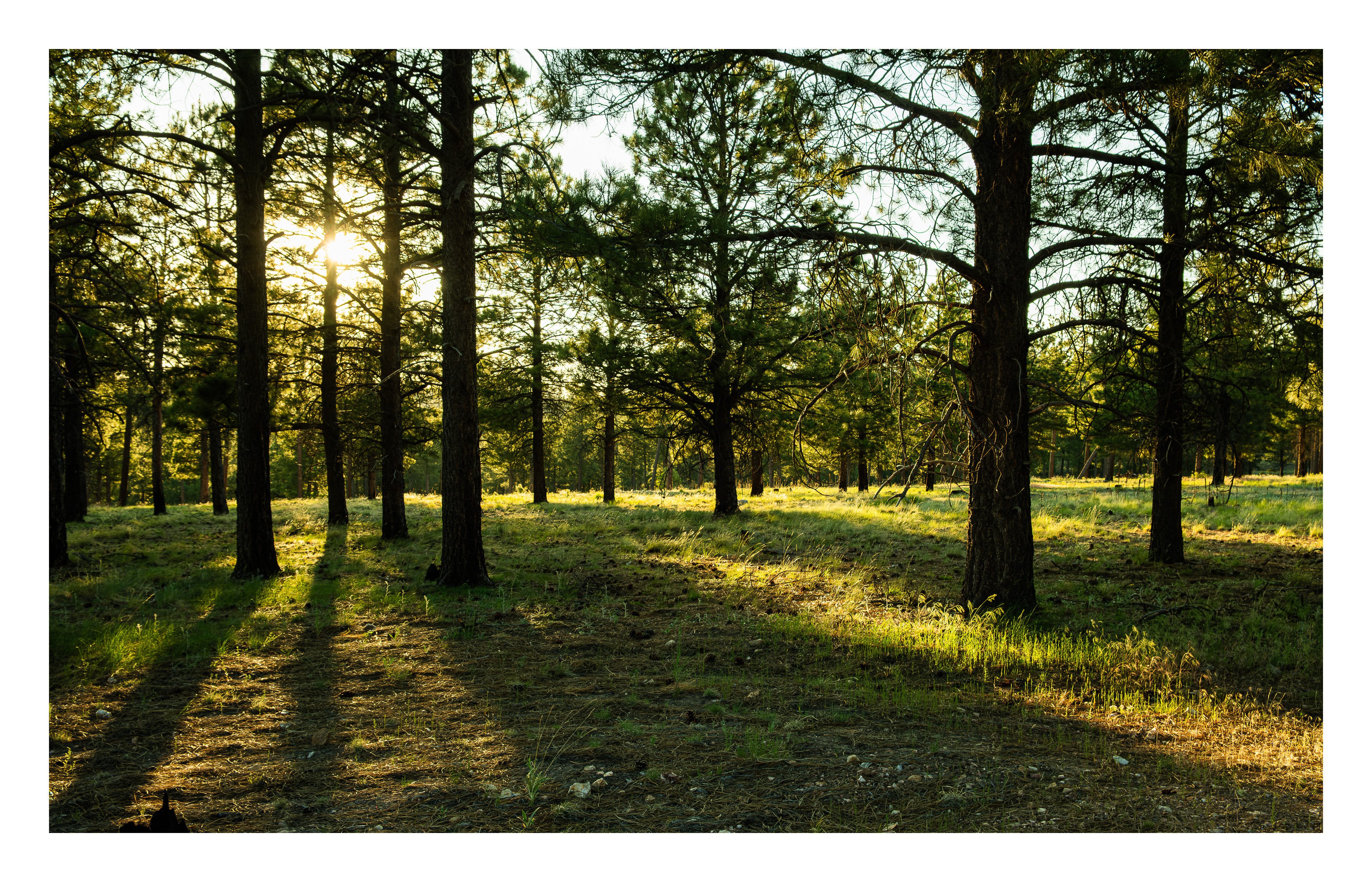 Landscapes