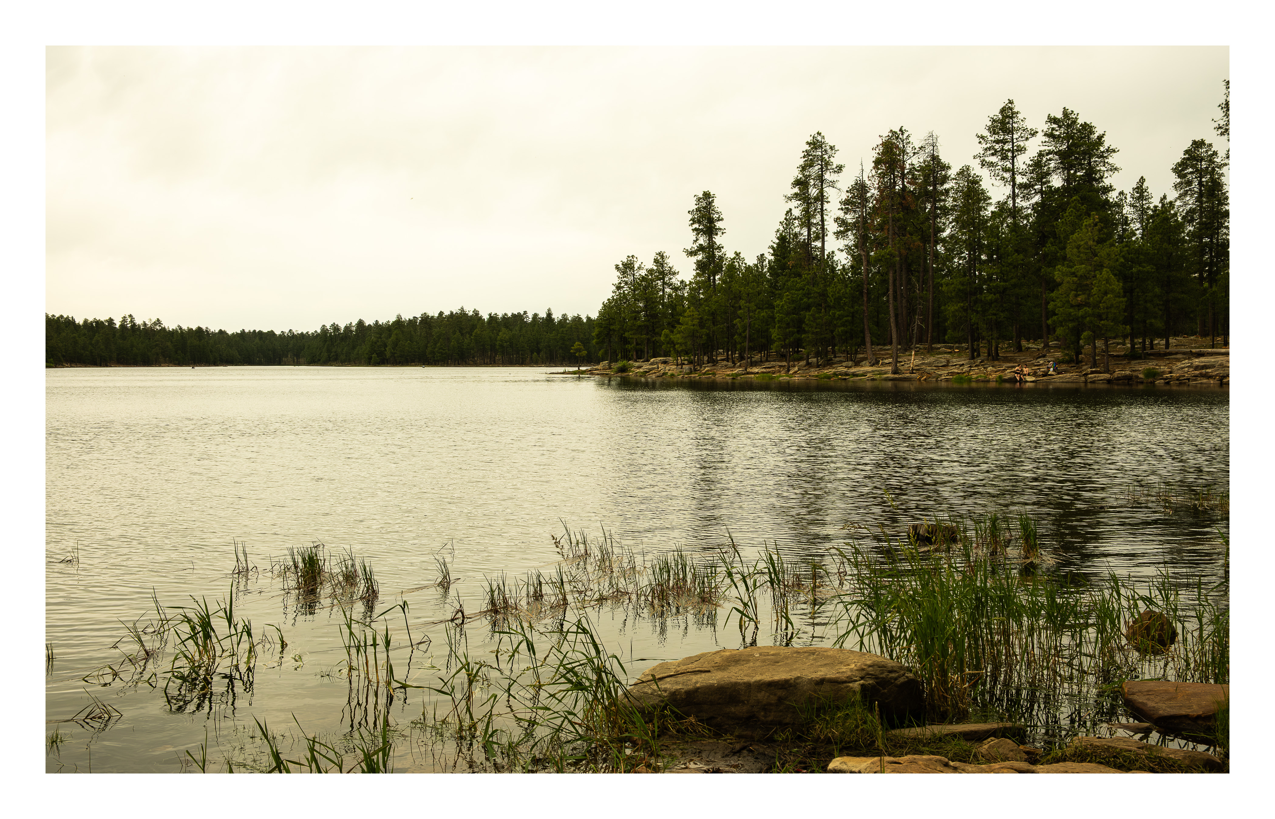 Landscapes